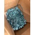 Novelty Lights 100 Foot C7 Outdoor String Light Christmas Stringer - Patio String Lights - Candelabra Base (C7/E12) - 12" Spacing - Green Wire