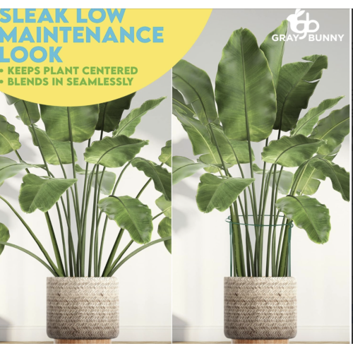 Half Round Plant Support Ring / Cage, Solid Steel Rust & UV Resistant Semi-circular Plant Border Metal Support, Wire Hoop Plant Support System)