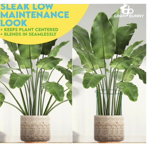 Half Round Plant Support Ring / Cage, Solid Steel Rust & UV Resistant Semi-circular Plant Border Metal Support, Wire Hoop Plant Support System)