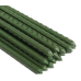 Gardener Select® Steel Garden Stake with Green Vinyl Coating, 6-Feet Long with 10mm Diameter