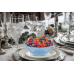 2 Plastic Bowls, Transparent Blue 