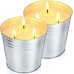 Hausware Large Citronella Candles Outdoor & Indoor, 2 x 20 oz Scented Candles Set