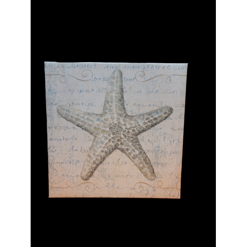 Starfish Wall Decor Canvas 12in.x12in.x1.5in.