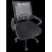 Wayfair  Computer Task Chair  - Mesh - Black 