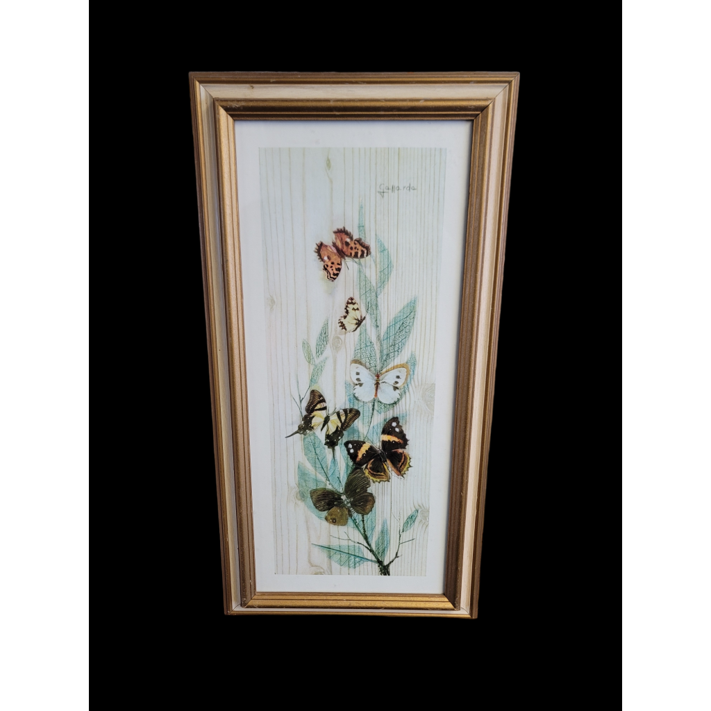 Vintage Framed Butterfly Print Franklin Picture Company Artist Gallarda 