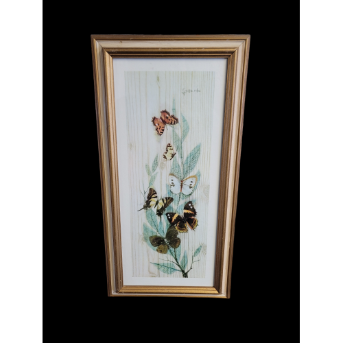 Vintage Framed Butterfly Print Franklin Picture Company Artist Gallarda