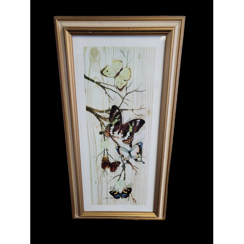 Vintage Framed Butterfly Print