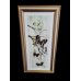 Vintage Framed Butterfly Print