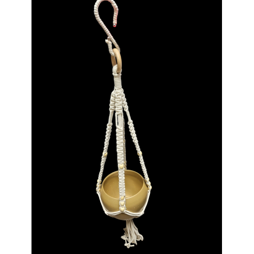 Gold Metal Plant Pot With Macrame Hanger 5in. x 7in.