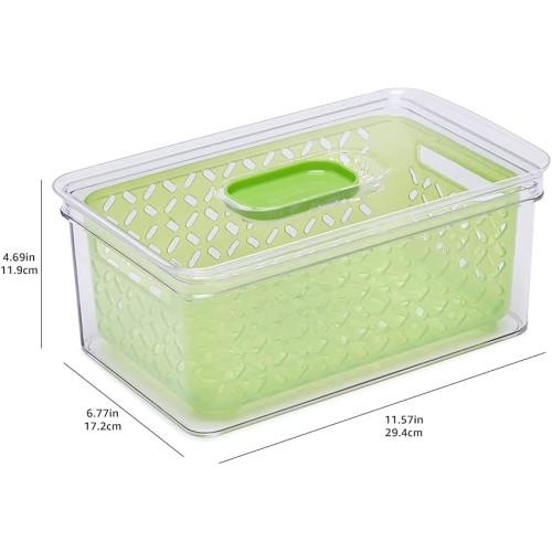 Amazon Basics Produce Food Saving Container with Vented Lids, BPA Free Plastic - 1 Large (4.3 Qt)