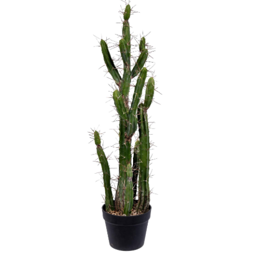 Vickerman Everyday 34" Indoor Artificial Green Cactus - Black Plastic Pot - Decorative Lifelike Cactus of Durable Polyester Greenery for Home Or Office - Maintenance Free