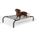 Coolaroo Original Elevated Dog Bed, Grey, Small