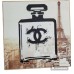 Chanel Bottle Paris Hanging Framed Print