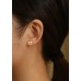 Heart Shape Hollow Animal Footprint Pattern Stud Earrings Stainless Steel Jewelry