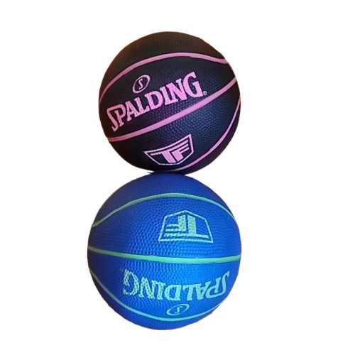 2 pack mini basketballs spalding