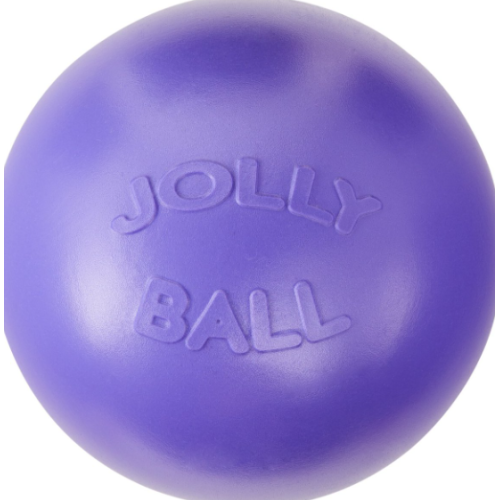 Jolly Pets 10" Push-n-Play Ball Dog Toy