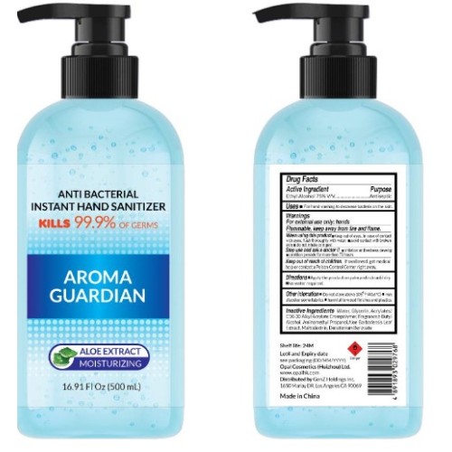 AROMA GUARDIAN- anti bacterial instant hand 8.8FL oz