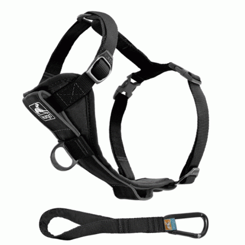 Kurgo Tru-Fit Quick Release Dog Walking Harness