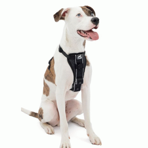 Kurgo Tru-Fit Quick Release Dog Walking Harness