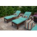 Pryer Outdoor Sunbrella Chaise Cushion