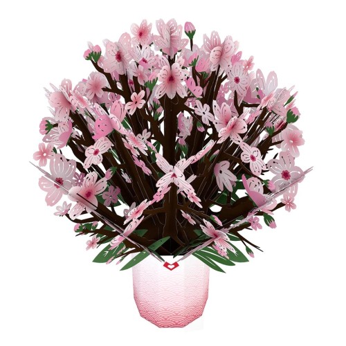Gift Card Cherry Blossom Bouquet by Lovepop 