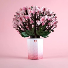 Cherry Blossom Bouquet by Lovepop