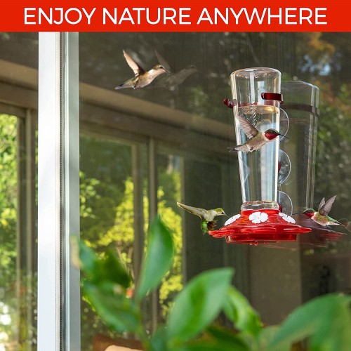 Hummingbird feeder with 3 interchangeable flower colors to hang outdoors, use it with hummingbird nectar. Outdoor window hummingbird feeders. Hummingbird Gifts for Gardening Lovers