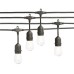 Hampton Bay 12 Light LED String Lights - Black