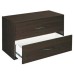 Closetmaid 156800 2 Drawer Espresso Organizer