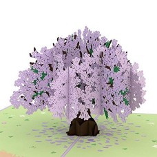 Mother's Day Lovepop Jacaranda Tree Pop Up Card, 5x7 - 3D