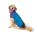 LEGO Collection Dog Hoodie Sweatshirt Blue/Purple/Black XSmall