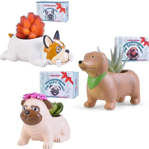 Dog Lovers Planter Succulent Gift: Choose From Dachshund, Pug, French Bulldog