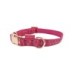 Vibrant Life Embossed Adjustable Dog Collar, Raspberry Pink, S