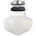 Elite Products Multi-Colored Ceiling Fan Globe Led Light Kit, White/bn/orb