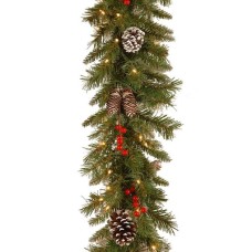 National Tree Company Pre-Lit Artificial Christmas Garland, Green, Frosted Berry, White Lights, With Pine Cones, Berry Clusters, Plug In, 9 Feet