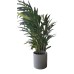 Mainstays 30 Artificial Potted Plant In Green Bamboo Grey Melamine Pot