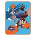 Space Jam A Legacy Soft Super Plush Throw Blanket 46" x 60" LeBron James