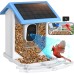 vBird Feeder with Camera Solar Powered, Outdoor Smart Bird Feeder, 4 MP HD Auto Capture Bird Videos, Real Time Views and Notifications, Ideal Gift for Bird Lovers