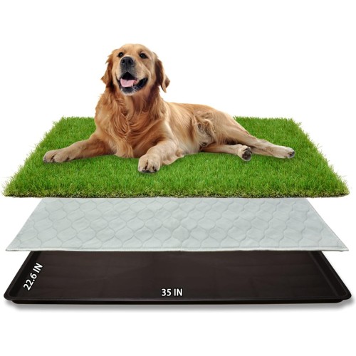 Dog Grass Large Patch Potty, Artificial Dog Grass Bathroom Turf for Pet Training, Washable Puppy Pee Pad, Perfect Indoor/Outdoor Portable Potty Pet Loo (Tray system-35"X22.6")