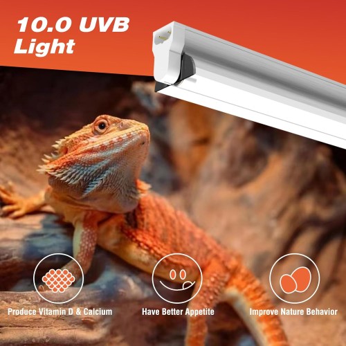 Hypool T5 UVB Reptile Light Fixture Including 2 Pack Bulbs HO 24W Reptile Amphibian Habitat Lighting Combo Kit with 22'' 10.0 UVB Bulb Desert Pet Habitat Lamp (24W-Fixture-Combo)