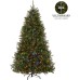 National Tree Company Pre-Lit Artificial Full Christmas Tree, Green, Dunhill Fir, Dual Color LED Lights, Includes Stand, 7.5 Feet, Dual Colored Lights