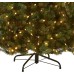 National Tree Company Pre-Lit Artificial Full Christmas Tree, Green, Dunhill Fir, Dual Color LED Lights, Includes Stand, 7.5 Feet, Dual Colored Lights