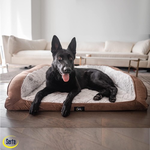 Serta Orthopedic Quilted Couch Dog Bed for Pets – Chocolate Brown (X-Large)