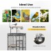 VIVOHOME 72 Inch Wrought Iron Large Bird Cage with Play Top and Stand for Parrots Lovebird Cockatiel Parakeets Black