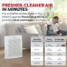 Honeywell HPA304 HEPA Air Purifier for Extra Large Rooms - Microscopic Airborne Allergen+ Dust Reducer, Cleans Up To 2250 Sq Ft in 1 Hour - Wildfire/Smoke, Pollen, Pet Dander – White