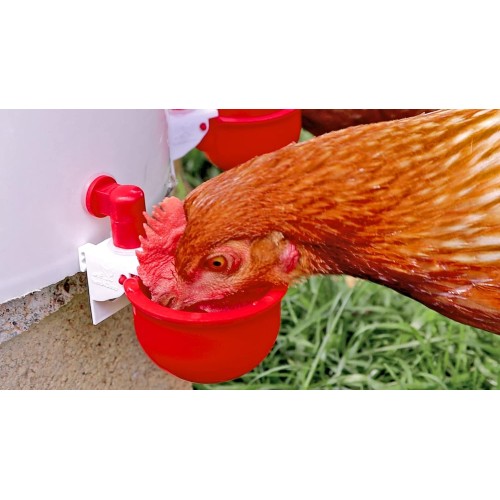 RentACoop DIY Automatic Chicken Waterer Cups for Any Chicken Watering System - Suitable for Tubing, Hardware Cloth, Buckets, Barrels, and More - Easy to Clean with Removable Cup Inserts - 7 Pack