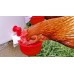 RentACoop DIY Automatic Chicken Waterer Cups for Any Chicken Watering System - Suitable for Tubing, Hardware Cloth, Buckets, Barrels, and More - Easy to Clean with Removable Cup Inserts - 7 Pack