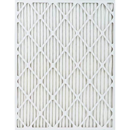 Allergen 12x24x1 Air Filter , MERV 11, 4-Pack