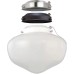 Elite Multi-colored Ceiling Fan Globe LED Light Kit