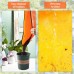 3PCS 26.8" x 26.8" Repotting Mats for Indoor Plant Transplant Control Mess Best Gardening Gift for Plant Lovers